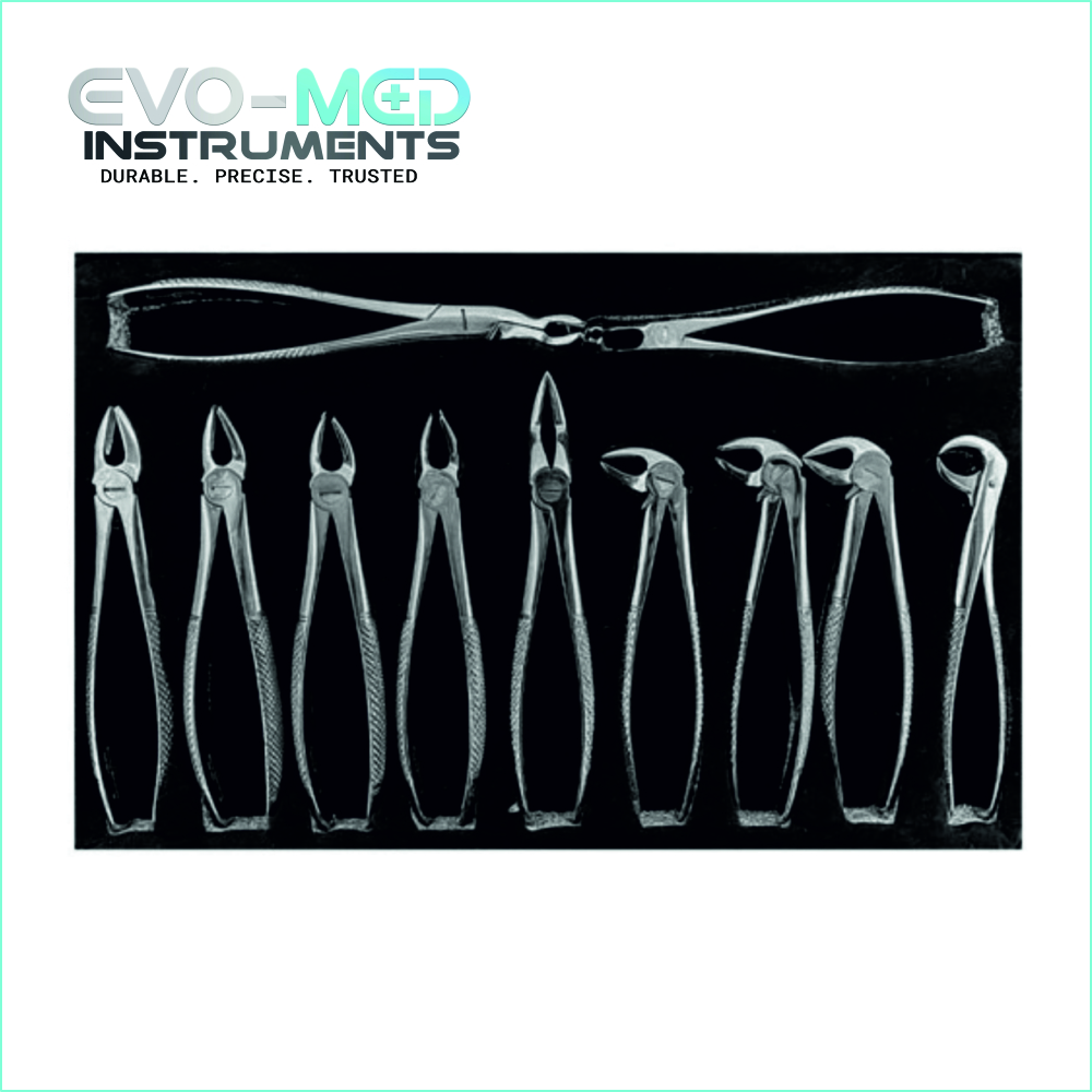 Set of 11 extracting forceps for adults standard handle