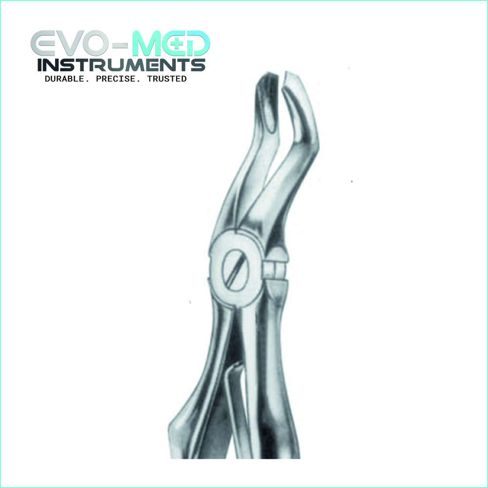 Extracting Forcep Fig.3 English Pattern Klein For Children