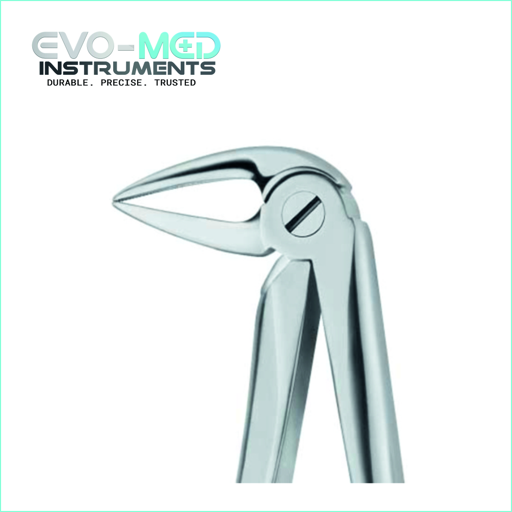 Extracting Forcep Fig.33M English Pattern Lower Jaw