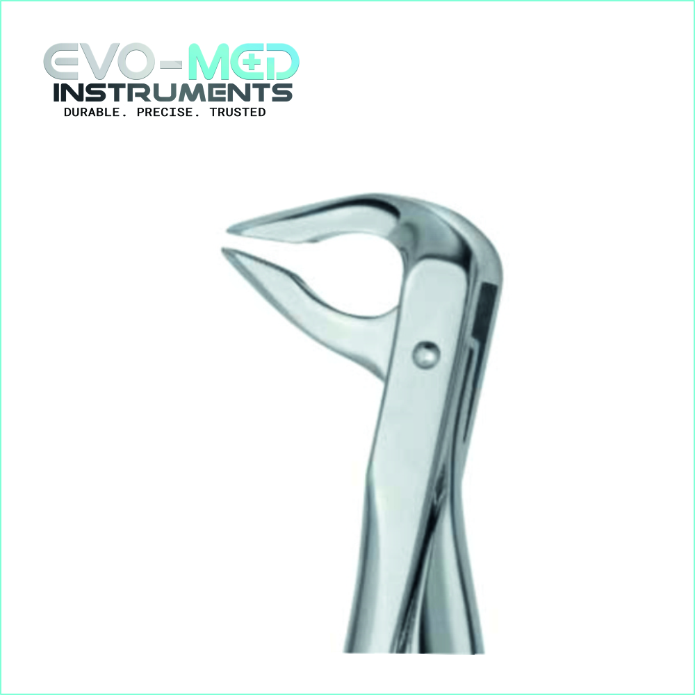 Extracting Forcep Fig.36 English Pattern Lower Jaw