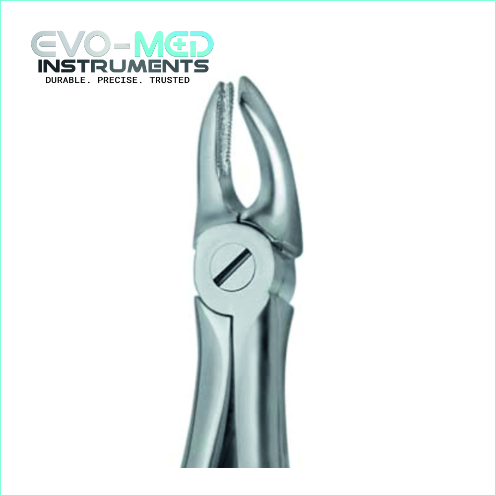 Extracting Forcep Fig.39R English Pattern Upper Jaw For Children