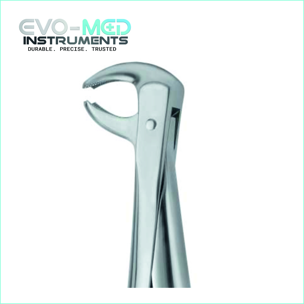 Extracting Forcep Fig.73 English Pattern Lower Jaw