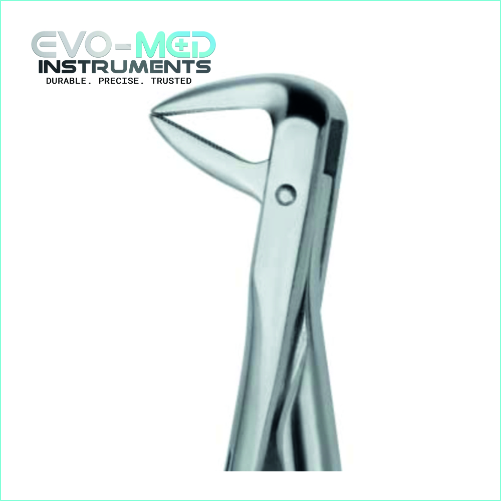 Extracting Forcep Fig.74N English Pattern Lower Jaw