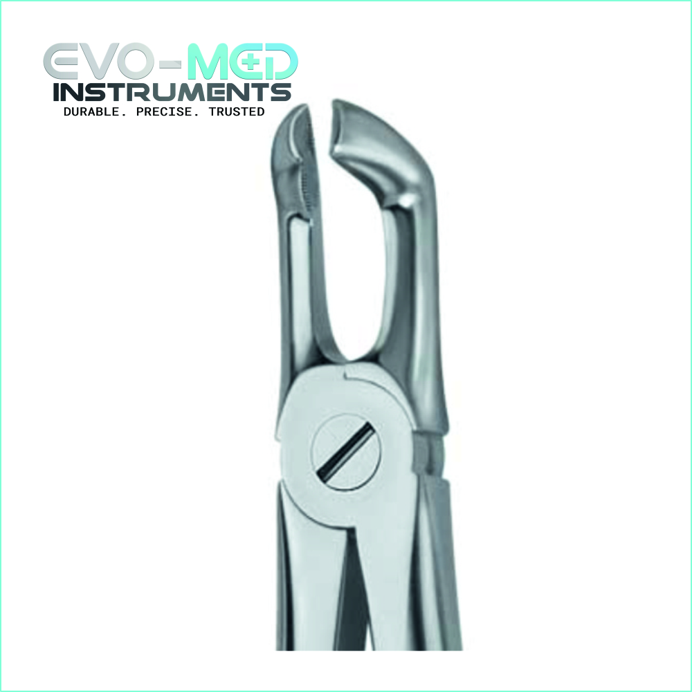 Extracting Forcep Fig.79A English Pattern Lower Jaw